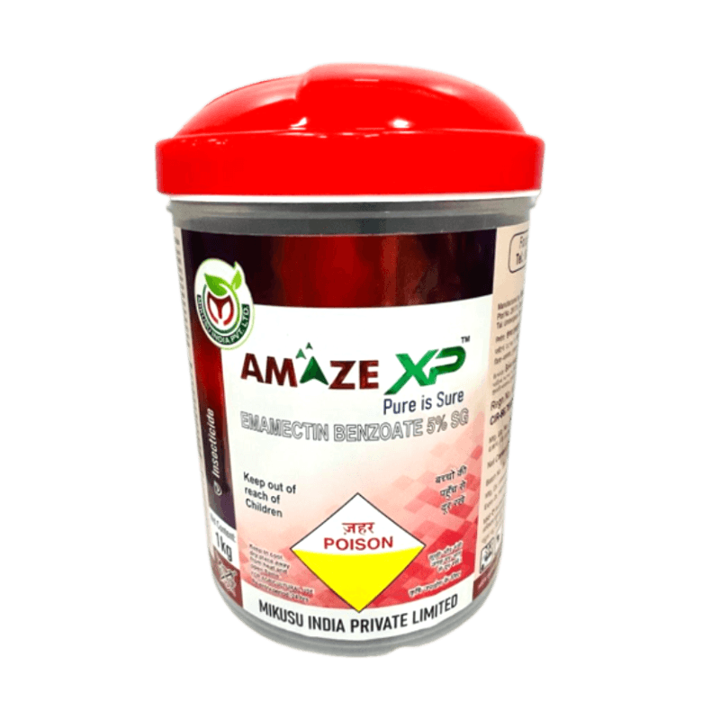 AMAZE XP product