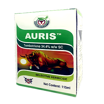 AURIS product