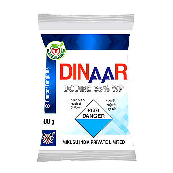 DINAAR product