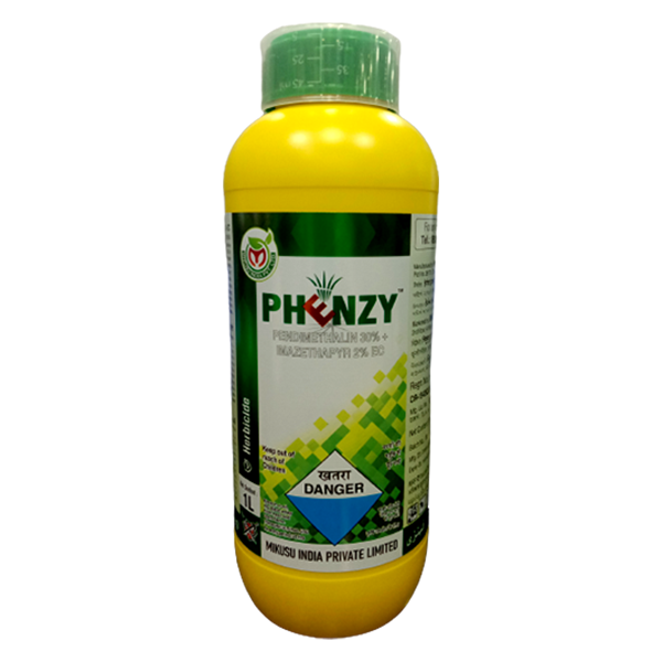 PHENZY