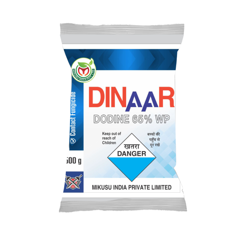 DINAAR