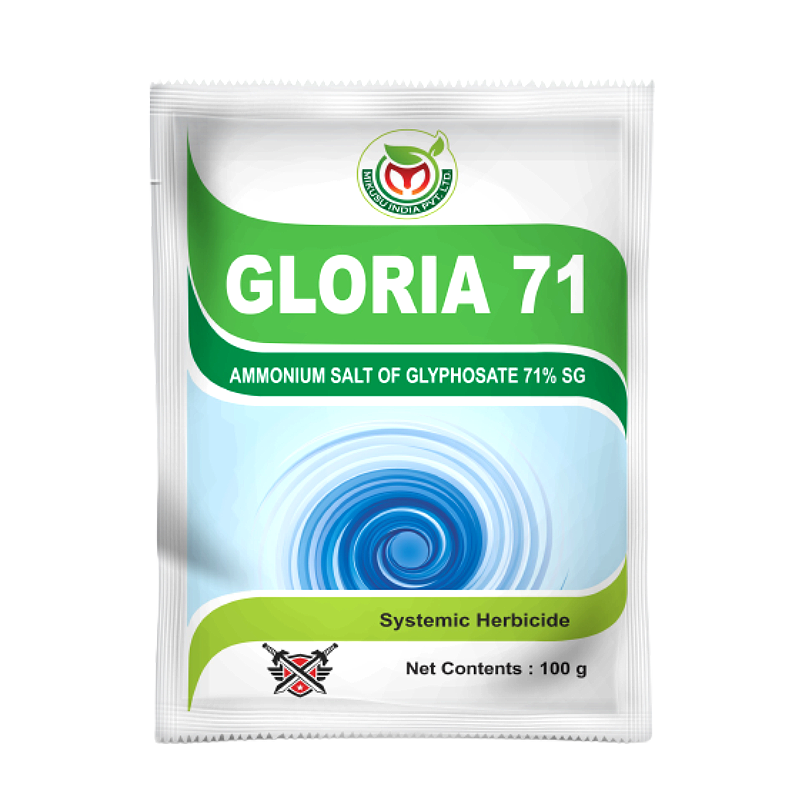 GLORIA 71